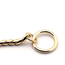 Load image into Gallery viewer, Steel Dog Collar