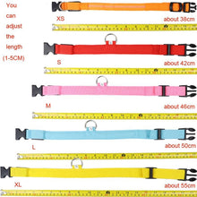 Load image into Gallery viewer, LED Pet Collar