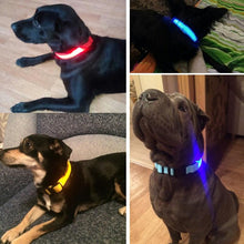 Load image into Gallery viewer, LED Pet Collar