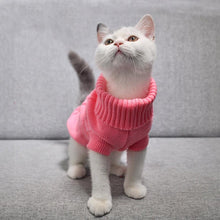 Load image into Gallery viewer, Pet Warm Sweater