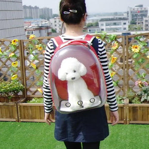 Breathable carrier pets bag