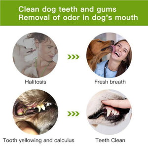 Pet toothpaste and chew toothbrush