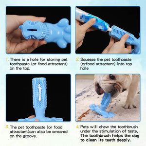 Pet toothpaste and chew toothbrush