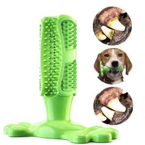 Pet toothpaste and chew toothbrush