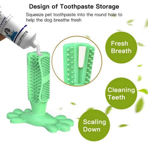 Pet toothpaste and chew toothbrush