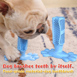 Pet toothpaste and chew toothbrush