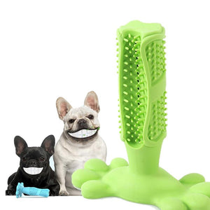 Pet toothpaste and chew toothbrush