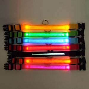 LED Pet Collar