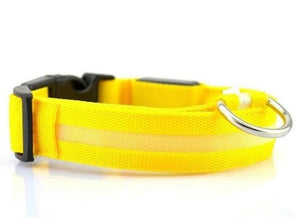 LED Pet Collar