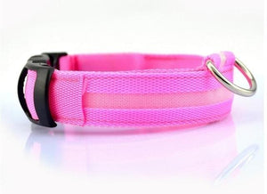 LED Pet Collar