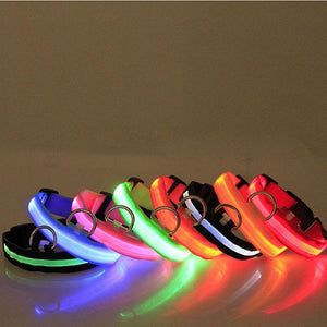 LED Pet Collar